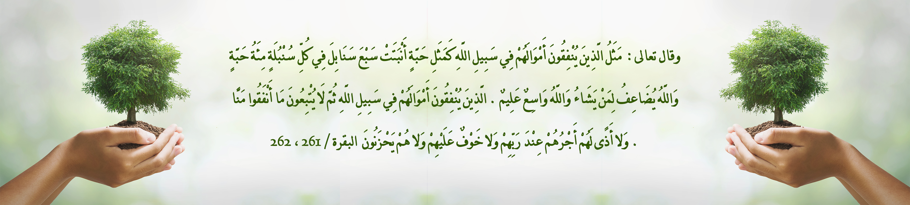 جمعية البر الخيرية برويضة العرض